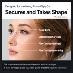 PetalSculpt — mid-face and nasal structure diagram